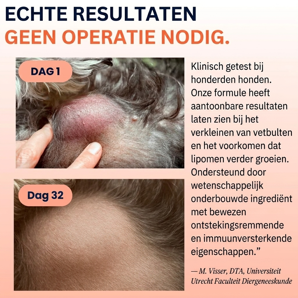 velpracht™ Heilpaddenstoel + Probiotica | Vetbulten Supplement voor Honden