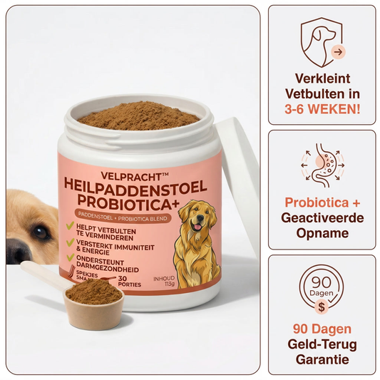 velpracht™ Heilpaddenstoel + Probiotica | Vetbulten Supplement voor Honden
