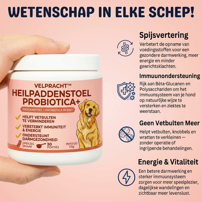 velpracht™ Heilpaddenstoel + Probiotica | Vetbulten Supplement voor Honden