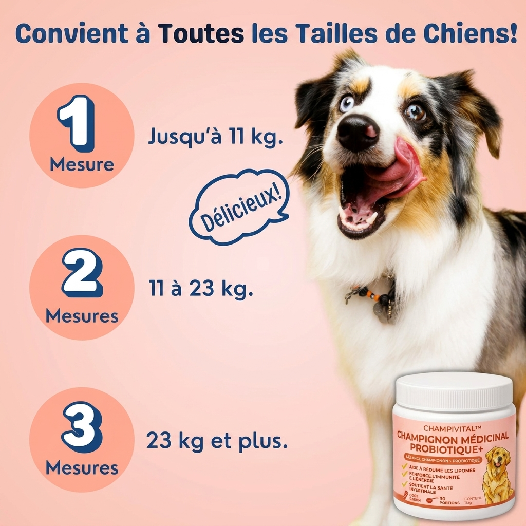 Champivital™ | Complément contre les Lipomes