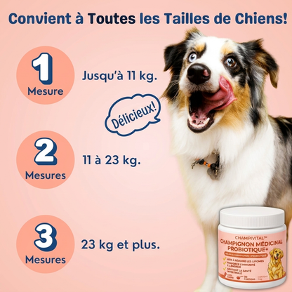 Champivital™ | Complément contre les Lipomes