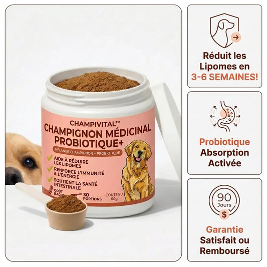 Champivital™ | Complément contre les Lipomes