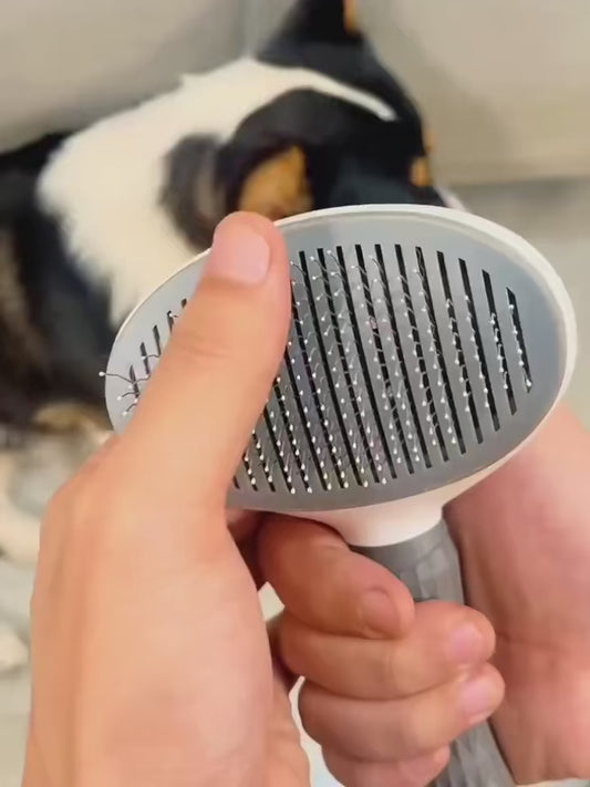 Velpracht® VelBrush Dagelijkse verwennerij voor jouw hond, zacht, snel en moeiteloos schoon.